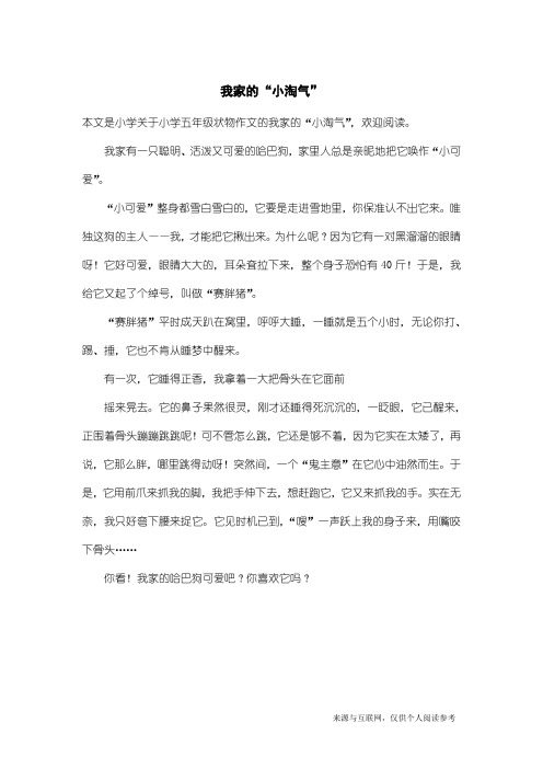 小学五年级状物作文：我家的“小淘气”