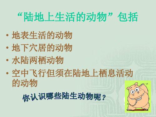 人教版八年级生物：第二节--陆地生活的动物