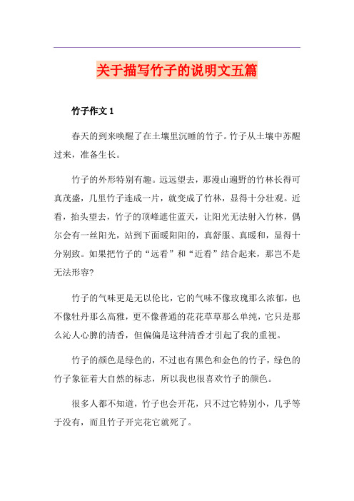 关于描写竹子的说明文五篇