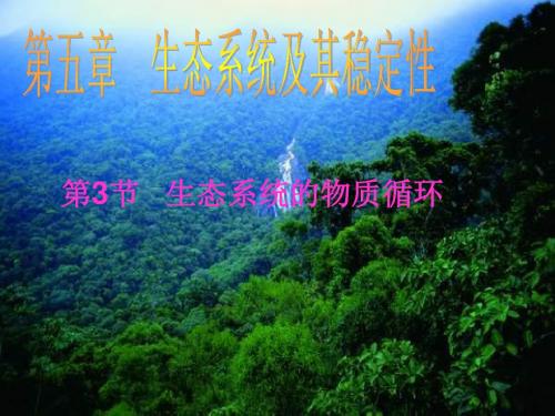人教版必修三第五章第三节生态系统的物质循环(共35张PPT)