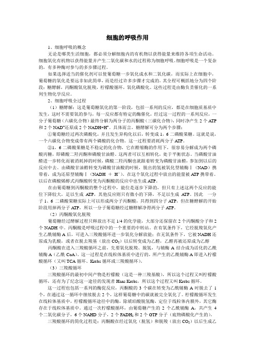 细胞的呼吸作用