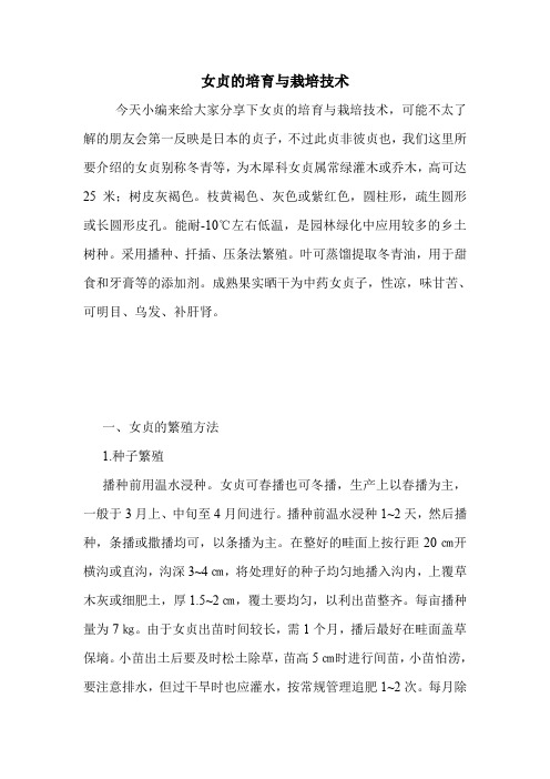 女贞的培育与栽培技术.doc