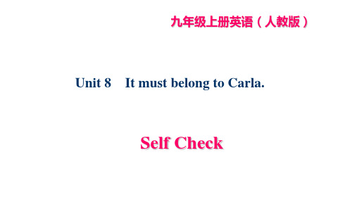 人教版九年级英语课件：Unit 8  Self Check