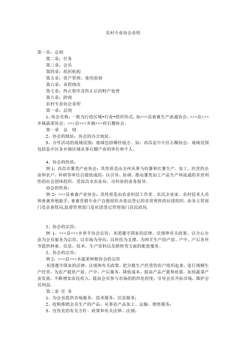 农村专业协会章程