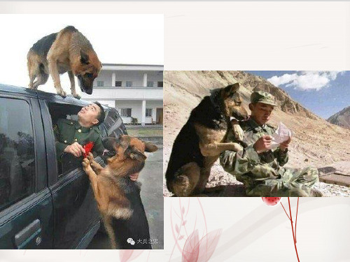 同伴关系优秀课件