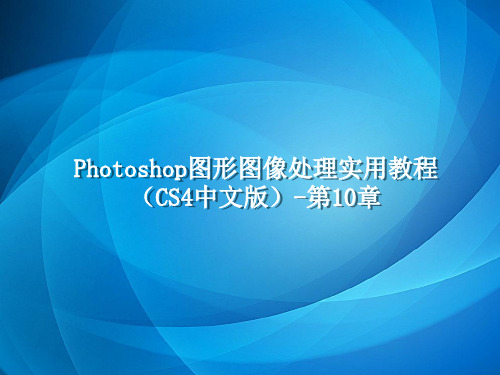 Photoshop图形图像处理实用教程(CS4中文版) 第10章