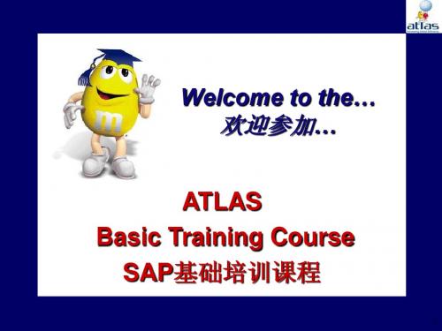 SAP培训材料1