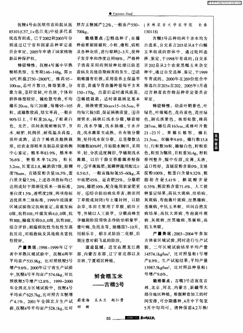 鲜食糯玉米——吉糯3号
