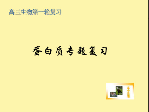 蛋白质专题复习ppt课件