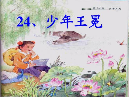 《少年王冕》公开课ppt