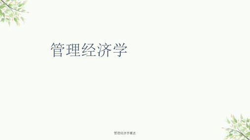 管理经济学概述课件