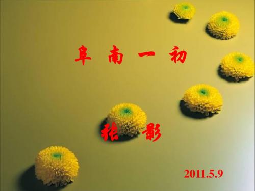 《散文两篇巴金》PPT课件.ppt