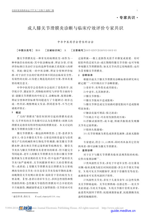 成人膝关节滑膜炎诊断与临床疗效评价专家共识