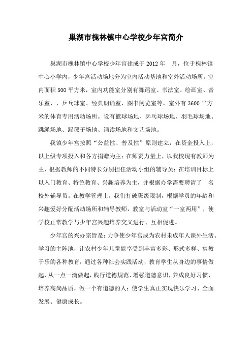 巢湖市槐林镇中心学校少年宫简介