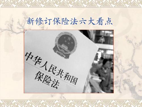 新修订保险法六大看点9页