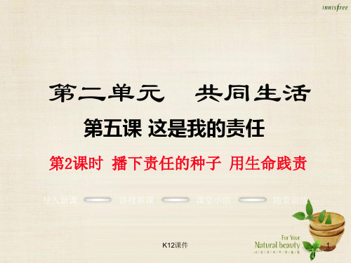 九年级政治全册 第二单元 第五课 播下责任的种子 用生命践责(第2课时)课件 人民版