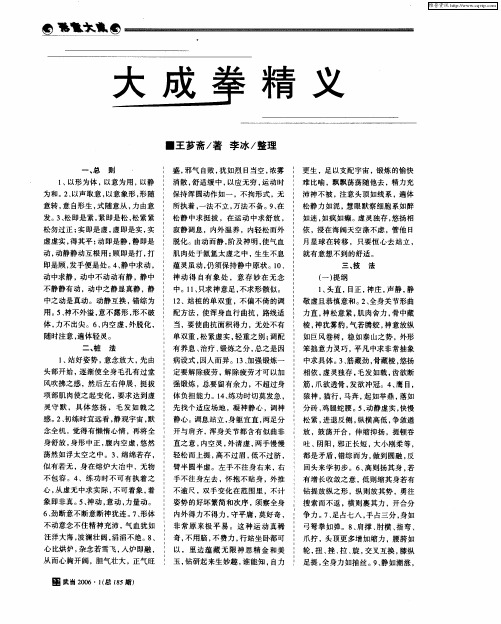 大成拳精义