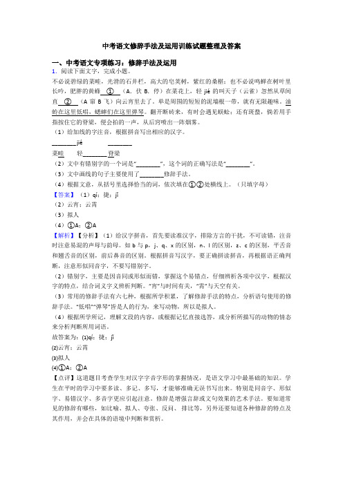 中考语文修辞手法及运用训练试题整理及答案