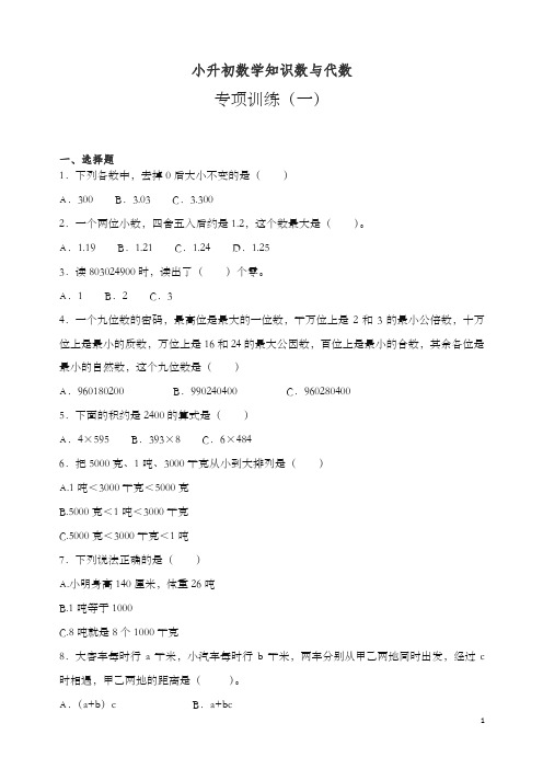 2019-2020学年小升初数学知识数与代数专项训练(一).docx