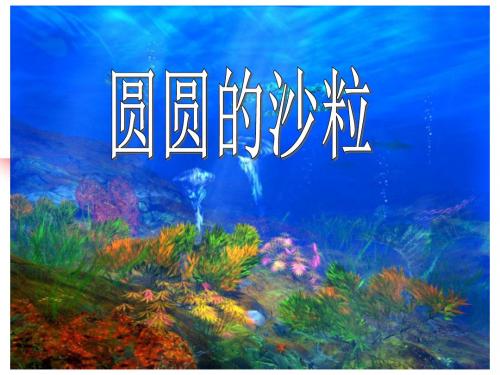 北师大版三年级上册(课堂教学课件)圆圆的沙粒