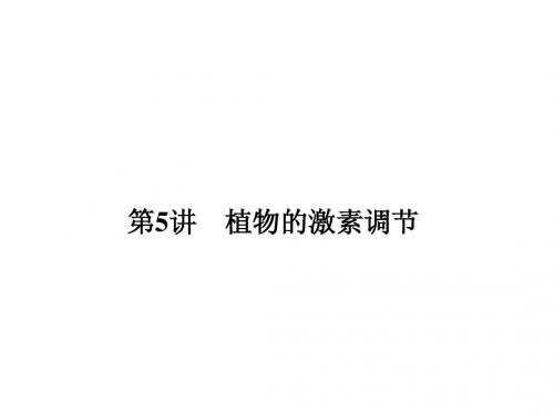 2015届高考生物总复习 3-1-5 植物的激素调节课件