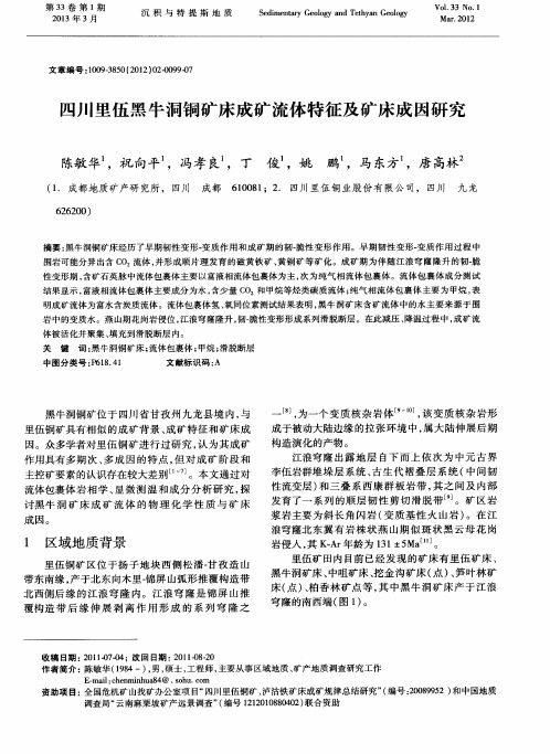 四川里伍黑牛洞铜矿床成矿流体特征及矿床成因研究