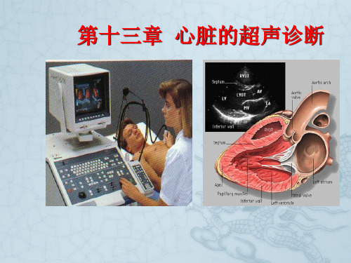 心脏超声影像学诊断课件