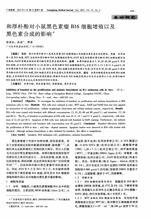 和厚朴酚对小鼠黑色素瘤B16细胞增殖以及黑色素合成的影响