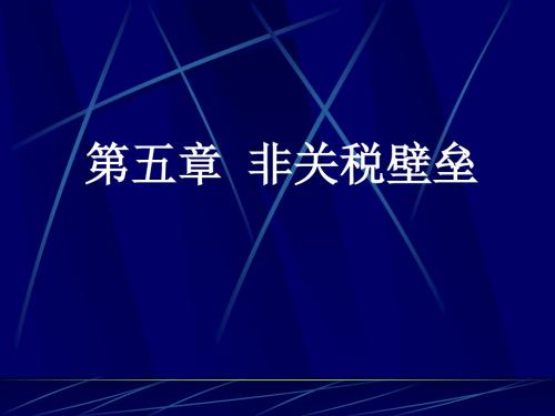 6.非关税壁垒