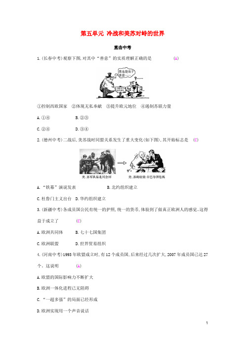 九年级历史下册冷战和美苏对峙的世界直击中考练习人教版