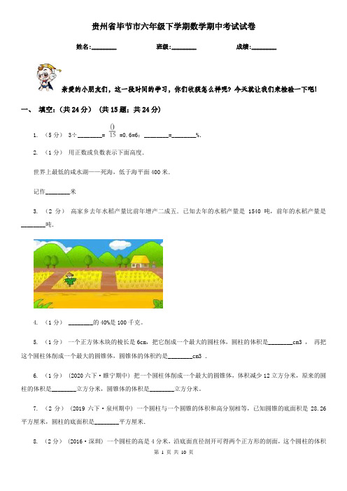 贵州省毕节市六年级下学期数学期中考试试卷