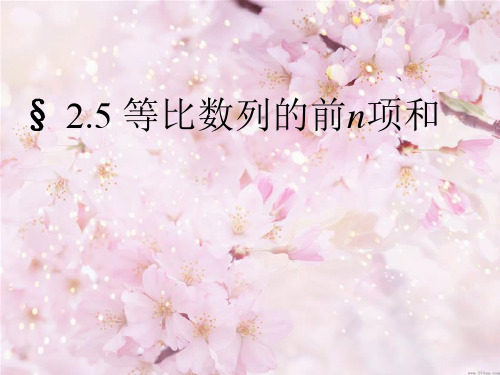 2.5等比数列的前n项和公式(1)