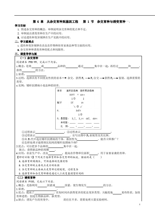 高一下学期生物人教版必修二第6章 第1节 杂交育种与诱变育种导学案