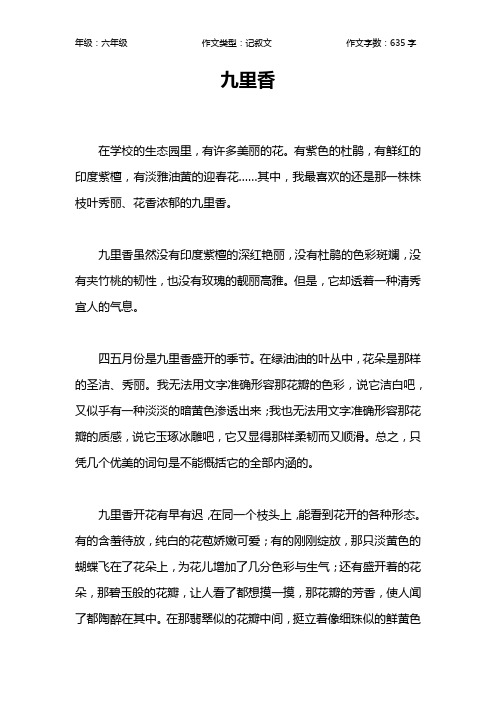 九里香作文【小学六年级600字】