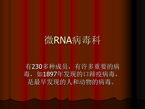微RNA病毒科PPT课件