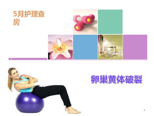 黄体破裂参考