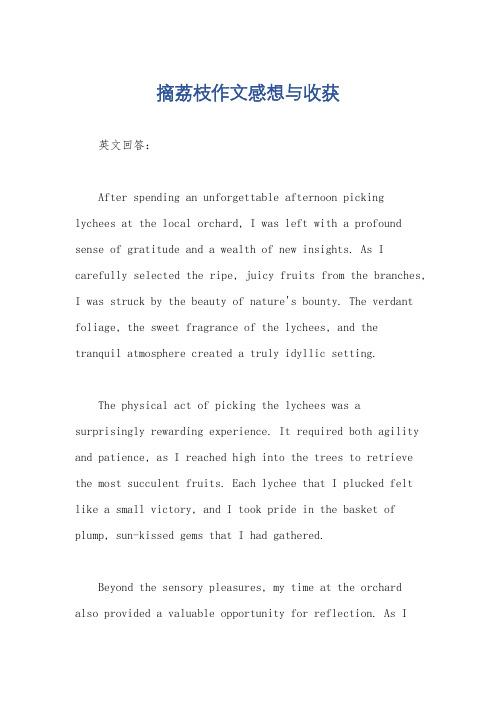 摘荔枝作文感想与收获