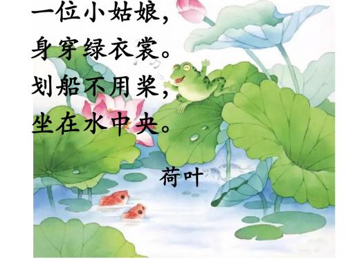 部编版一年级下册13.《荷叶圆圆》-[自动保存的]