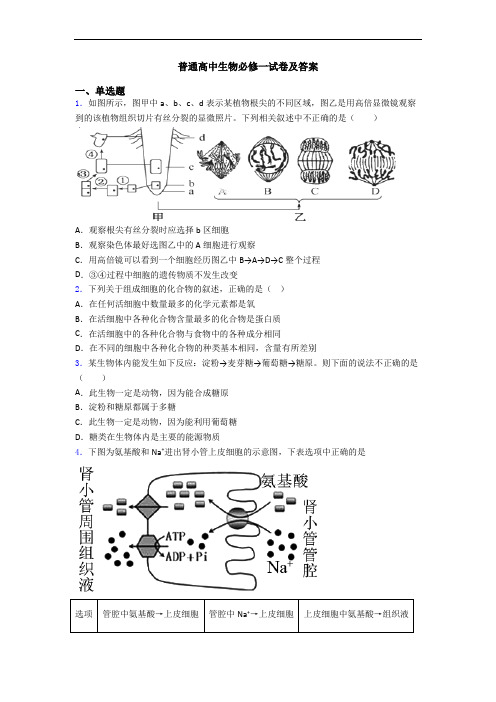 普通高中生物必修一试卷及答案