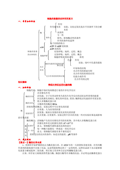 新人教版高中生物必修1《细胞的能量供应和利用复习》知识点整理