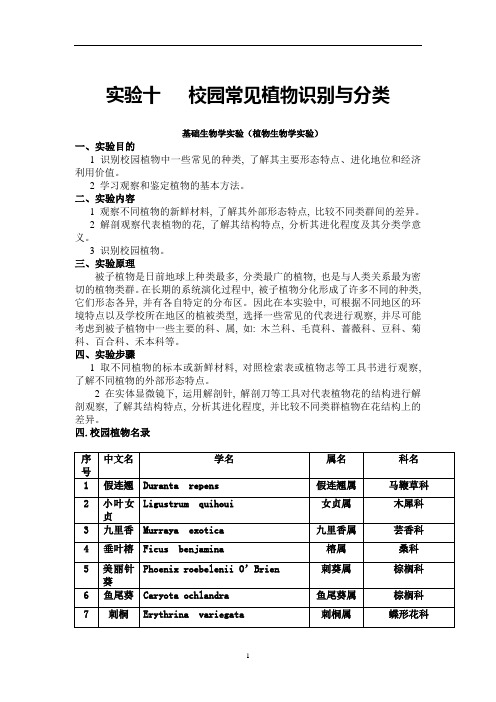 校园常见植物实验报告