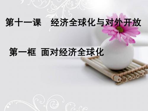 面对经济全球化PPT