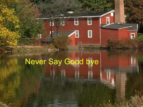 Never Say Good bye 大学英语精读 教学课件