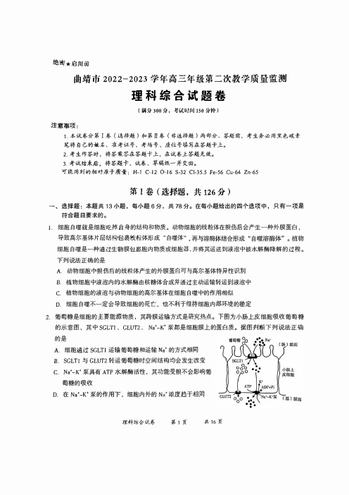 曲靖市(二模)2023年第二次统一检测理综试卷及答案