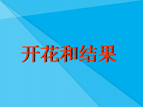 开花和结果PPT课件(说课) 人教版优秀课件