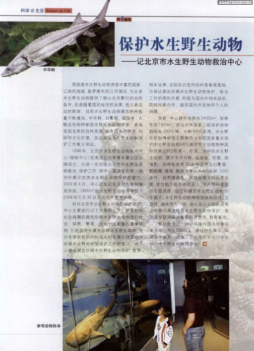 保护水生野生动物——记北京市水生野生动物救治中心