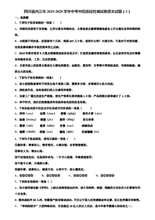 四川省内江市2019-2020学年中考中招适应性测试卷语文试题(3)含解析