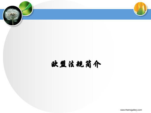 欧盟指令-1