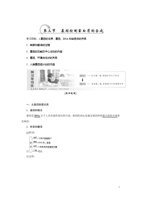 高一生物苏教版必修二教学案：第四章 第三节 基因控制蛋白质的合成