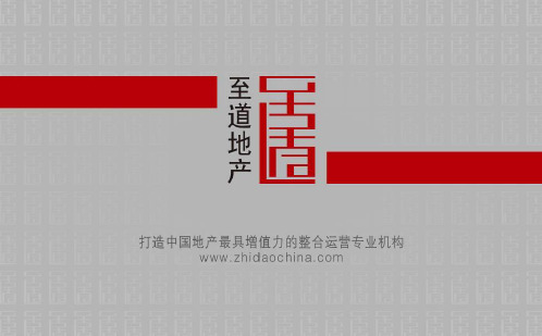 大雁塔南北广场案例091202